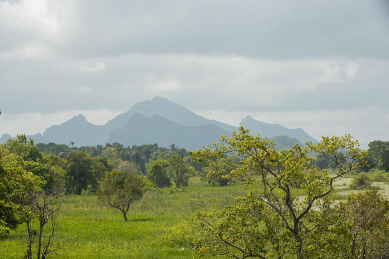 Sigiriya Wewa Addara Hotel - Hotel By The Lake Bagian luar foto